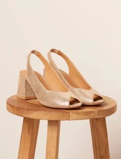 Iris>Pied de Biche Shop